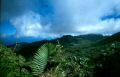Dominica, Inselrundblick.jpg
